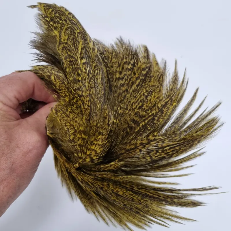 Whiting Coq de Leon Hen Cape in Speckled Yellow-5